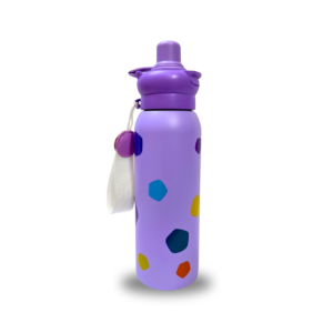 500ml vacuum water bottle for women - Purple